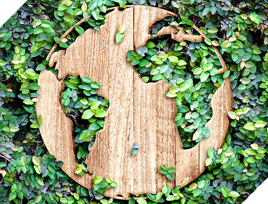A wooden Earth in the middle of a wall covered with leaves